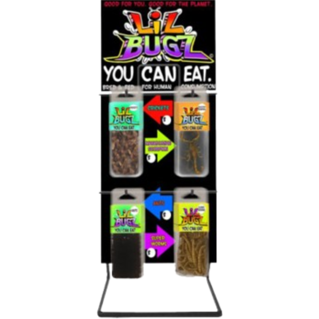 Untitled Design - 2025-11-13T160805.781 Lil Bugz Display