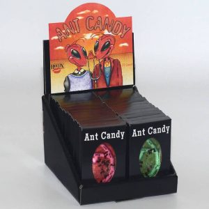 Hotlix Ant Candy Box Assorted 24