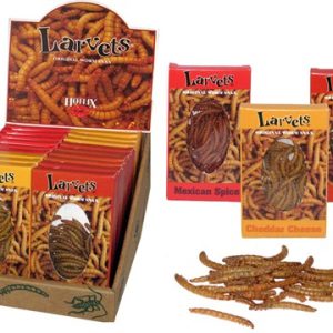 Hotlix Larvets Assorted 24