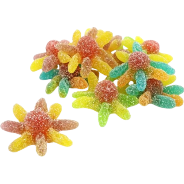 Kingsway Sour Octopus British 2Kg