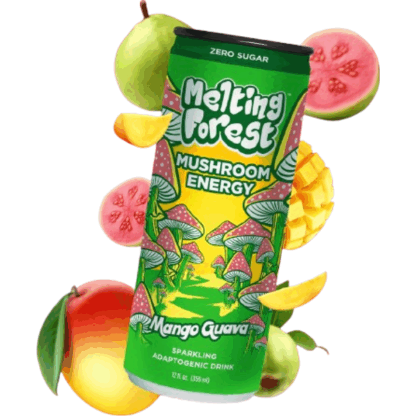 Melting Forest Mango Guava 12x355ml
