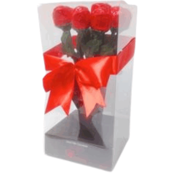 Alberts Valentine Foiled Roses In Vase Plastic Box 6