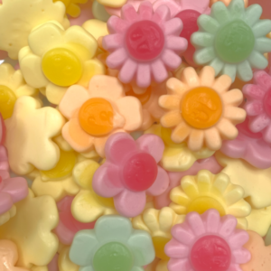 Frisia Happy Flower British 2.5kg